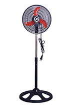 10"(25cm)